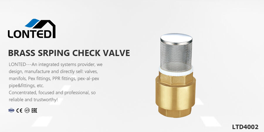 check valve swing check valve.jpg