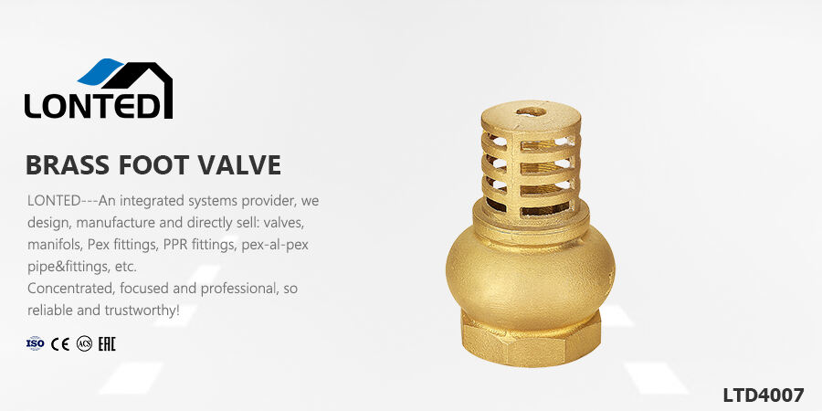 poppet valve pressure release valve.jpg