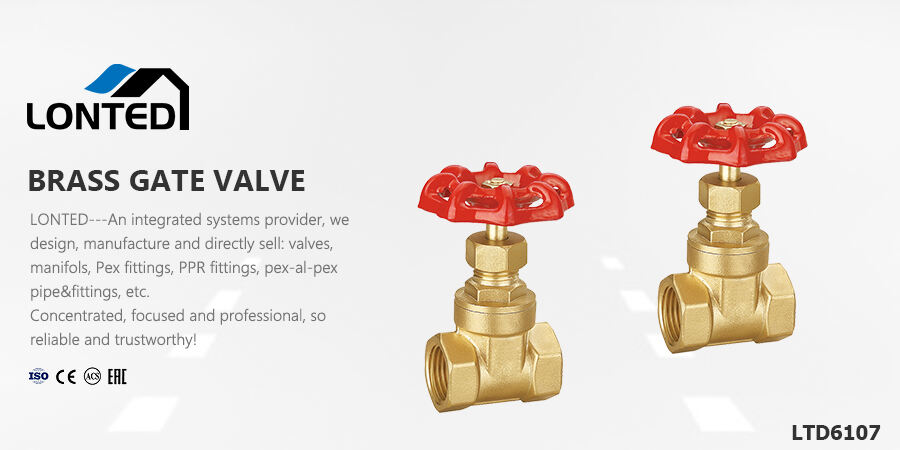 globe valve exhaust valve.jpg