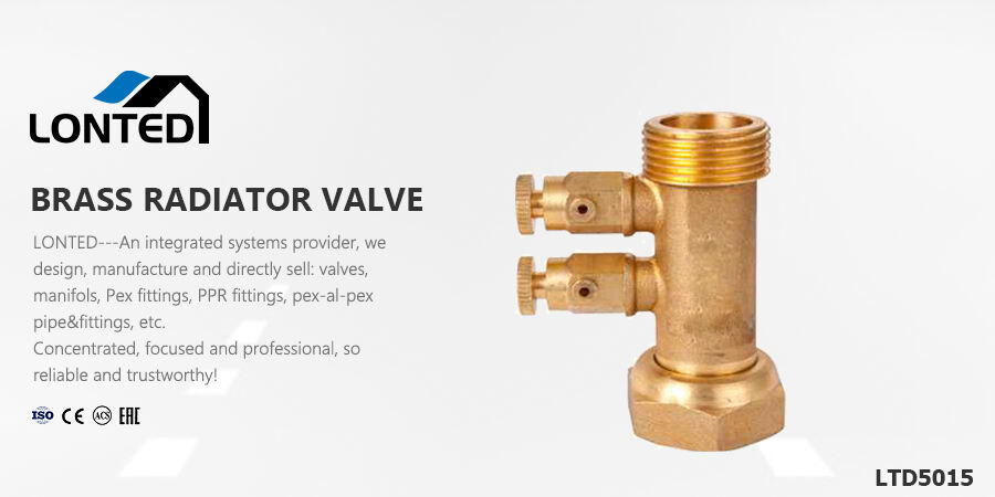 one way valve drain valve.jpg