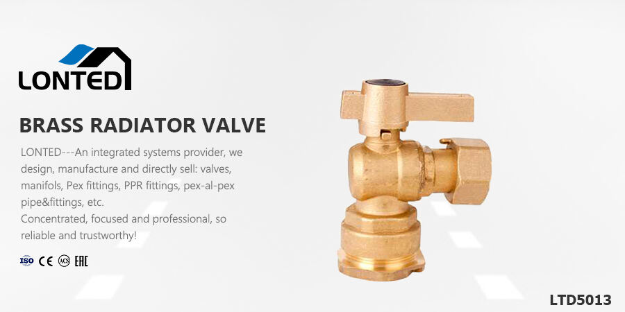 non return valve pvc ball valve.jpg