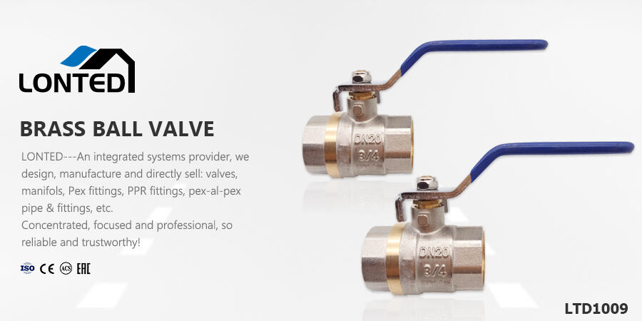 double check valve inlet valve.jpg