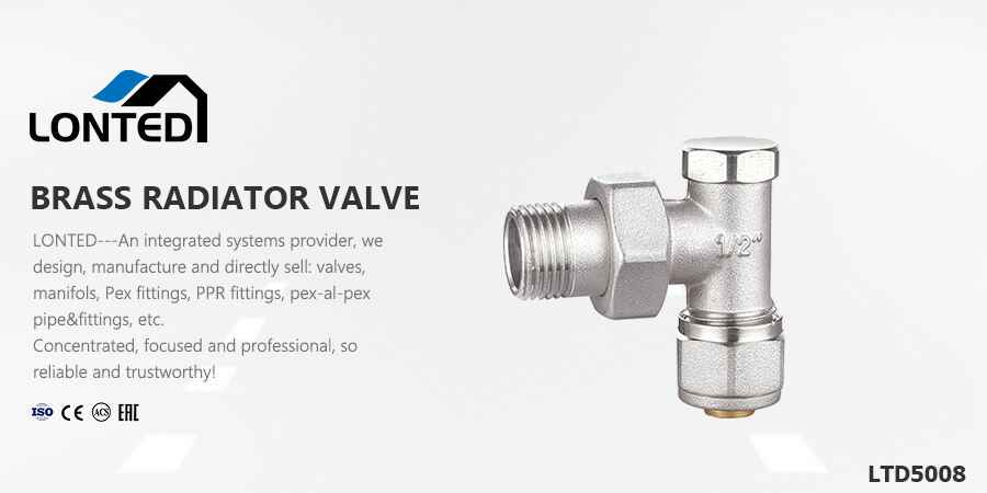 water pressure regulator swing check valve.jpg