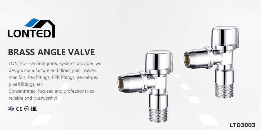 non return valve shuttle valve.jpg