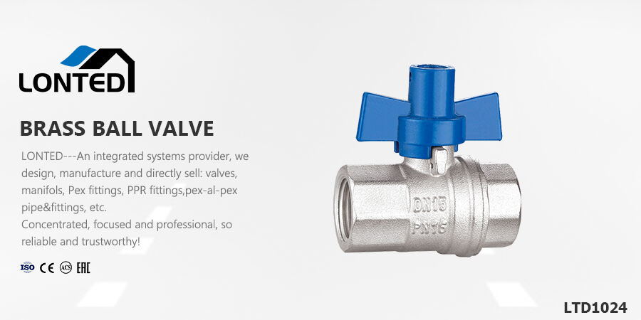 pressure regulator double check valve.jpg