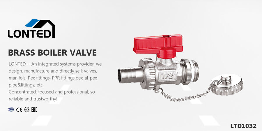 mixing valve backflow valve.jpg