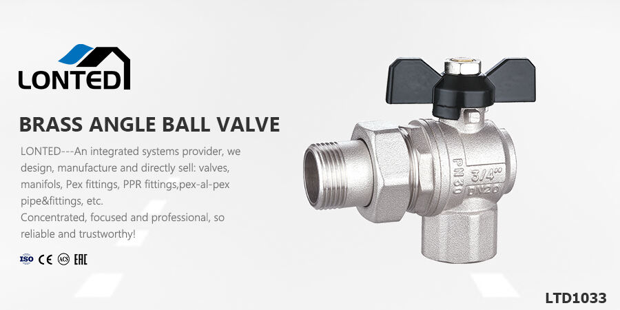 non return valve diaphragm valve.jpg