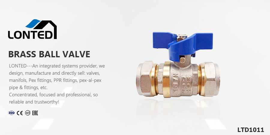 globe valve anti siphon valve.jpg