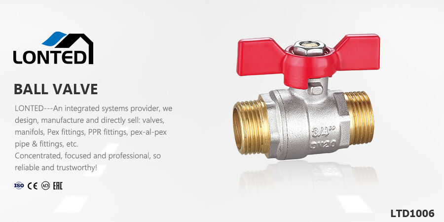 check valve radiator valves.jpg