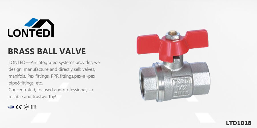 globe valve shuttle valve.jpg